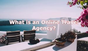 What is Online Travel Ageccy
