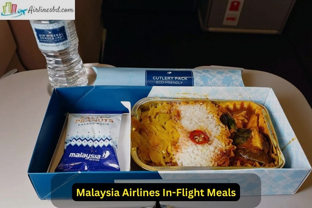 Malaysia Airlines In-Flight Meals